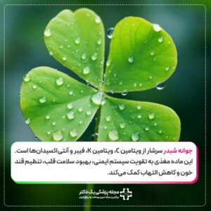 شبدر