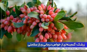 خواص زرشک برای بدن