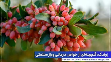 خواص زرشک برای بدن