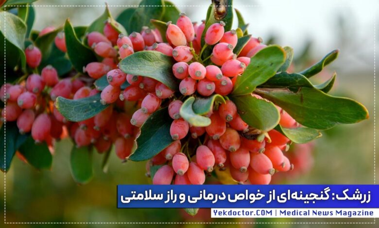 خواص زرشک برای بدن