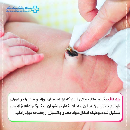 بند ناف چیست