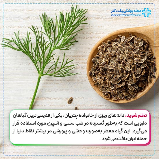 خواص تخم شوید