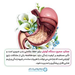 عملکرد صحیح دستگاه گوارش