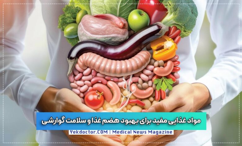 مواد غذایی مفید برای بهبود هضم غذا