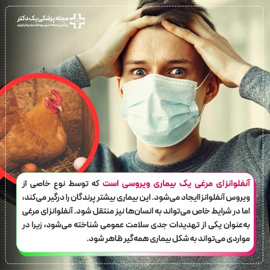 آنفلوانزای مرغی چیست