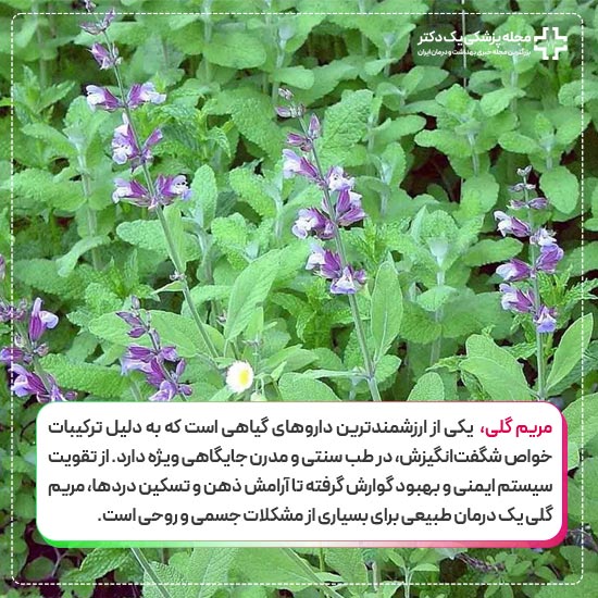 خواص مریم گلی