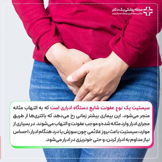 سیستیت چیست؟