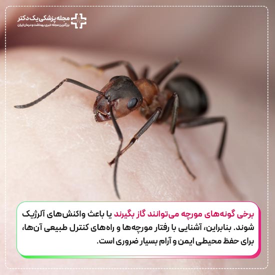 گاز گرفتن مورچه