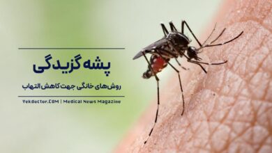 پشه گزیدگی