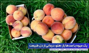 آشنایی با میوه هلو