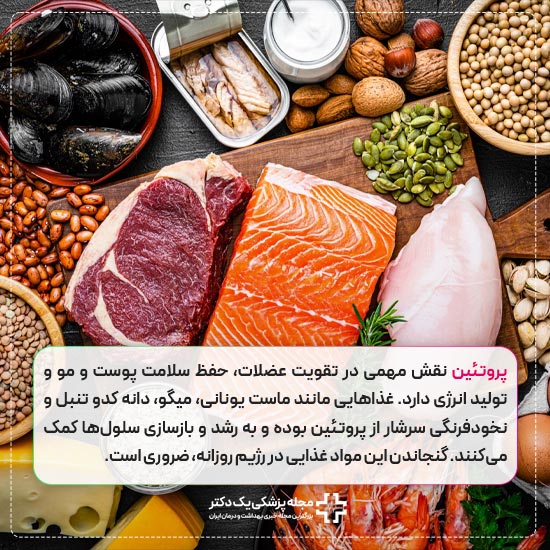 مواد غذایی دارای پروتئین