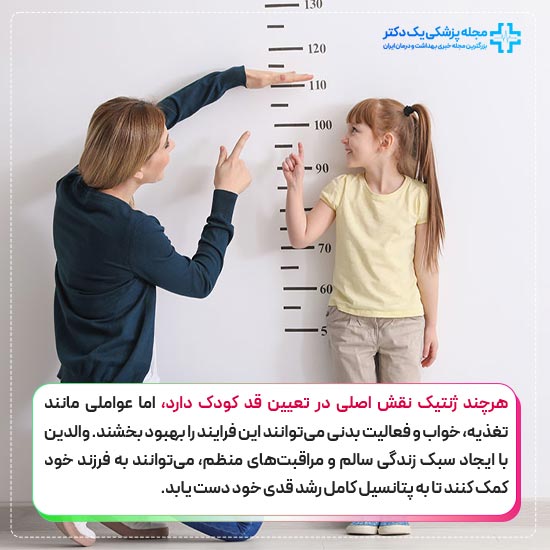 عوامل موثر در بلند شدن قد