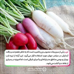 ترب چیست