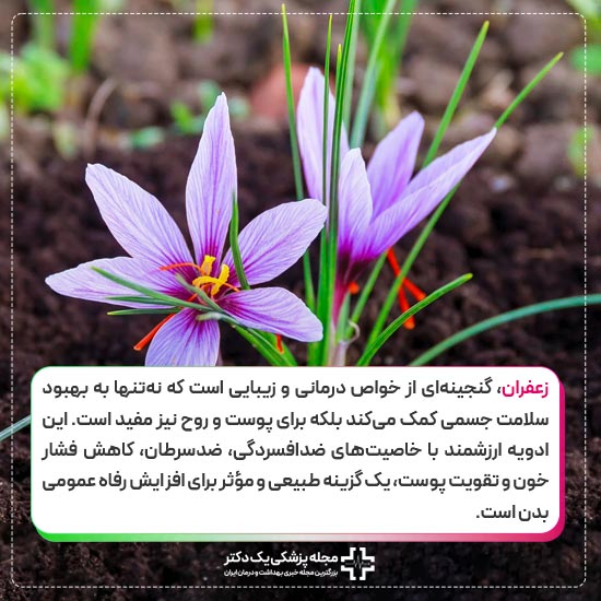 خواص زعفران