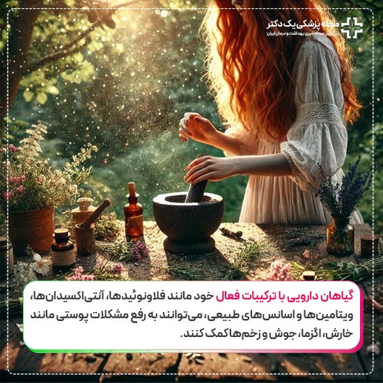 گیاهان دارویی و پوست انسان