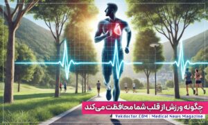 ورزش و سلامتی قلب