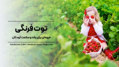 توت فرنگی