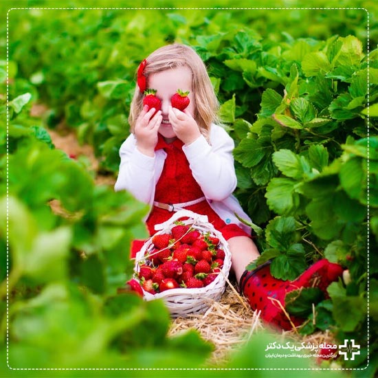خواص توت فرنگی