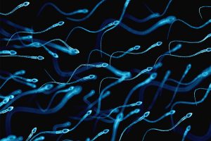 چند راهکار موثر برای تقویت اسپرم و باروری