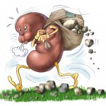 سنگ کلیه ؛ روش های درمان خانگی این بیماری چگونه است؟