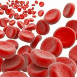 افزایش سطح خون |کدام مواد غذایی سبب افزایش سطح خون میشوند؟