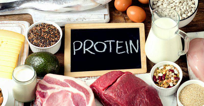 پروتئین .
