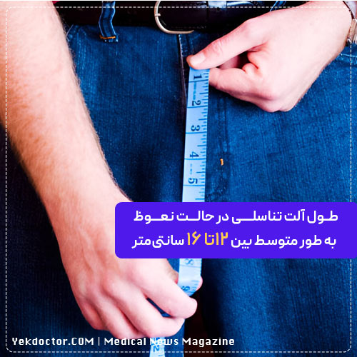 اندازه طبیعی آلت تناسلی