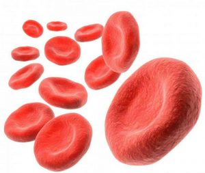 رفع لخته شدن خون | برای رفع لخته شدن خون چکاری انجام دهیم؟
