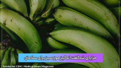 مزایای شگفت‌انگیز موز سبز برای سلامتی