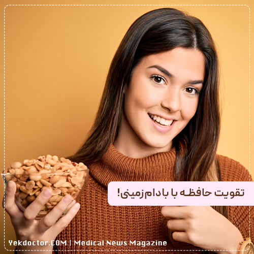 تقویت حافظه و پیشگیری از بیماری‌های مغزی با بادام زمینی