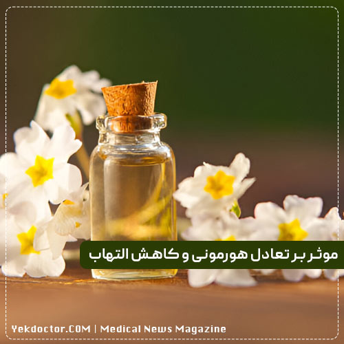 روغن گل پامچال: تسکین‌دهنده‌ای برای درد و ناراحتی سینه