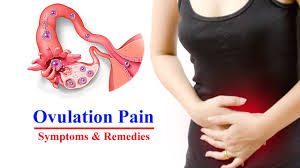 درد تخمک گذاری