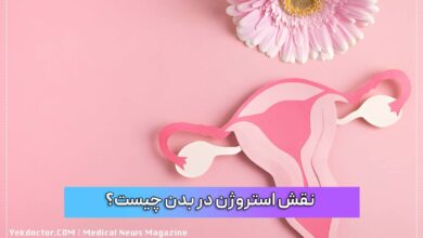 نقش استروژن در بدن