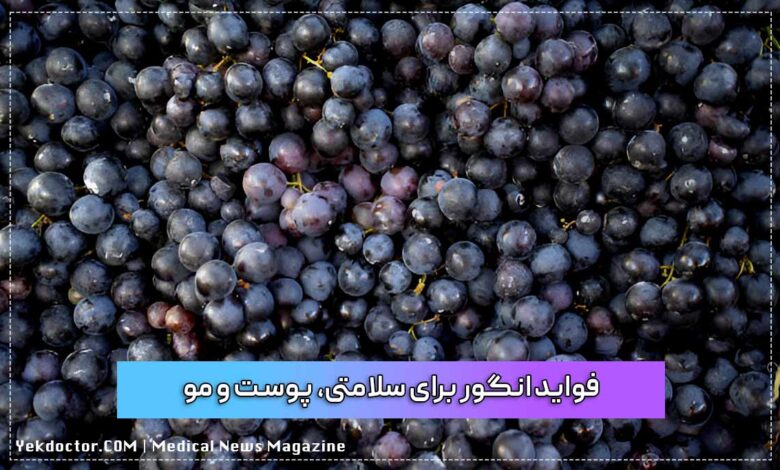 فواید انگور برای سلامتی، پوست و مو