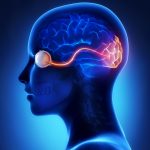 نوریت نوری چیست ؟ علائم، علل و تشخیص + نکاتی برای جلوگیری