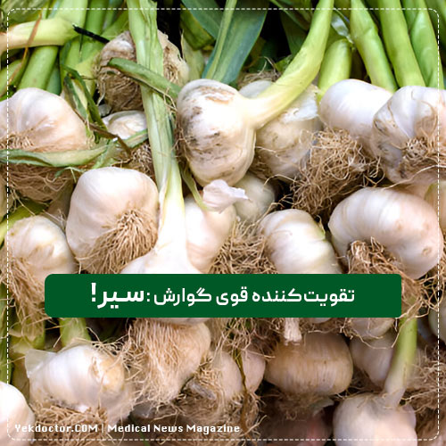 سیر: تقویت‌کننده قوی گوارش